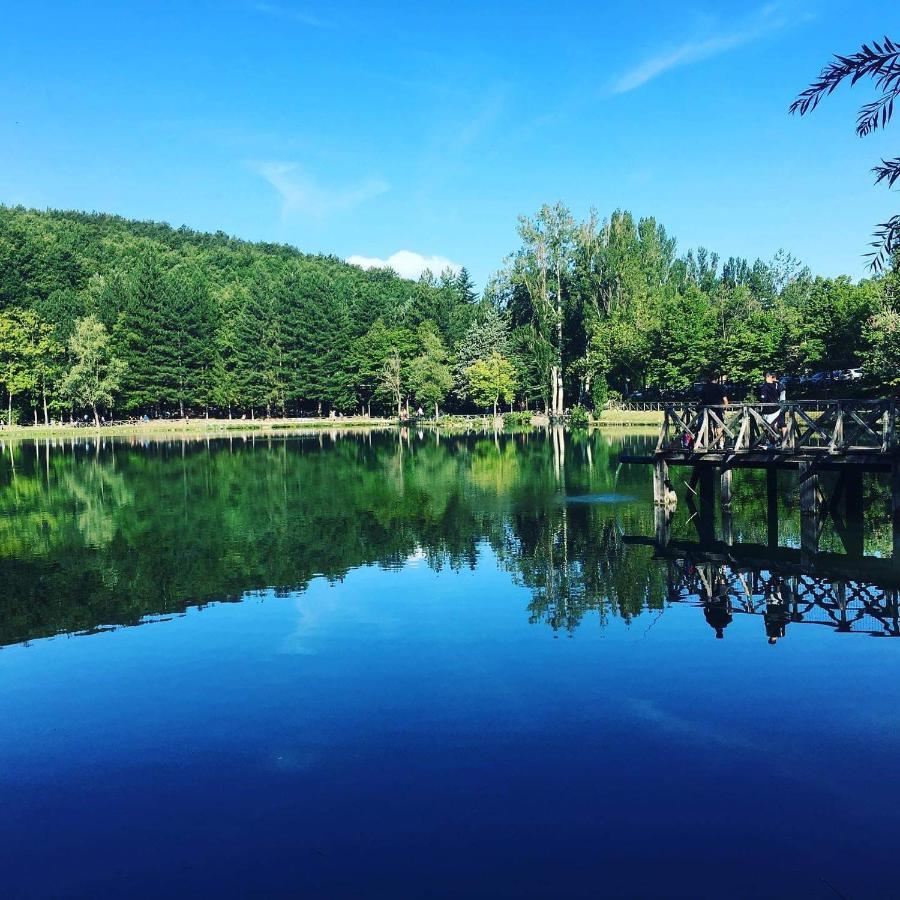 Albergo Lago Verde Pennabilli Extérieur photo